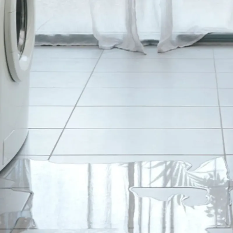 Appliance Leak Cleanup in Gray, TN