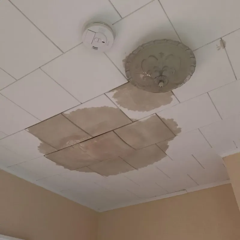 Ceiling Water Damage Repair in Gray, TN