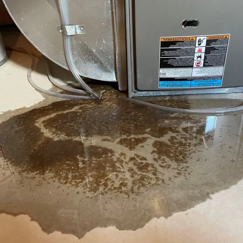 Pipe Burst and Leak Restoration in Gray, TN