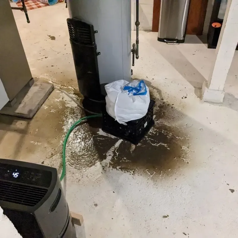 Sewage Backup Cleanup Service in Gray, TN